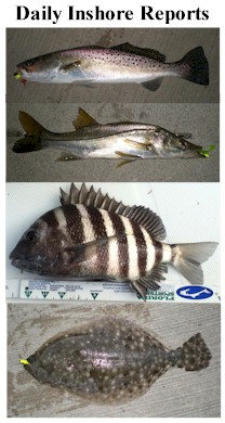 Daily Inshore Fishing Reports