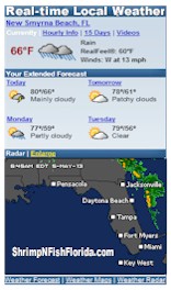 ShrimpNFishFlorida™ brings you all your local Marine, Boating, Fishing, weather all in one spot